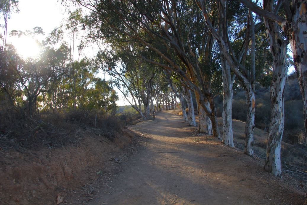 Will Rogers Park Inspiration Loop Trail