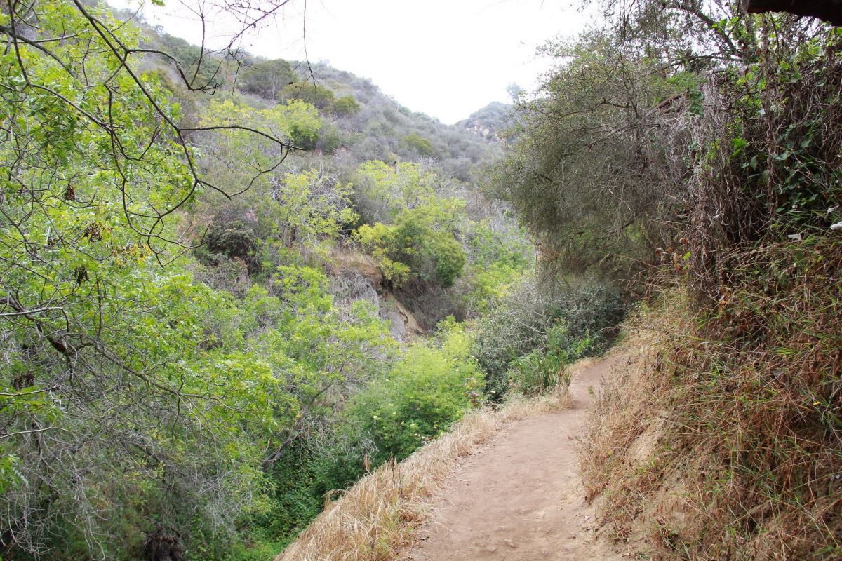Los Liones trail near beginning