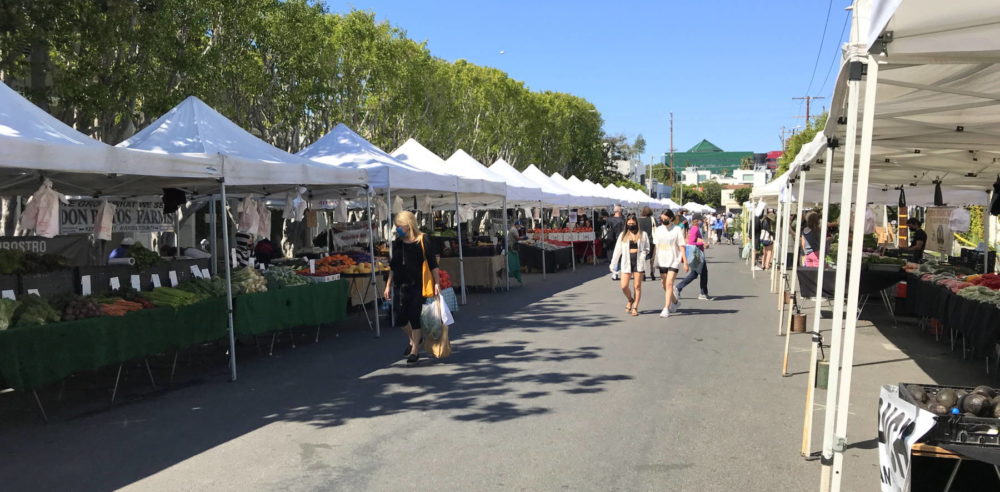 Melrose Farmers Market