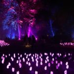 Enchanted: Forest of Light at Descanso Gardens - A Romantic Holiday Date Idea