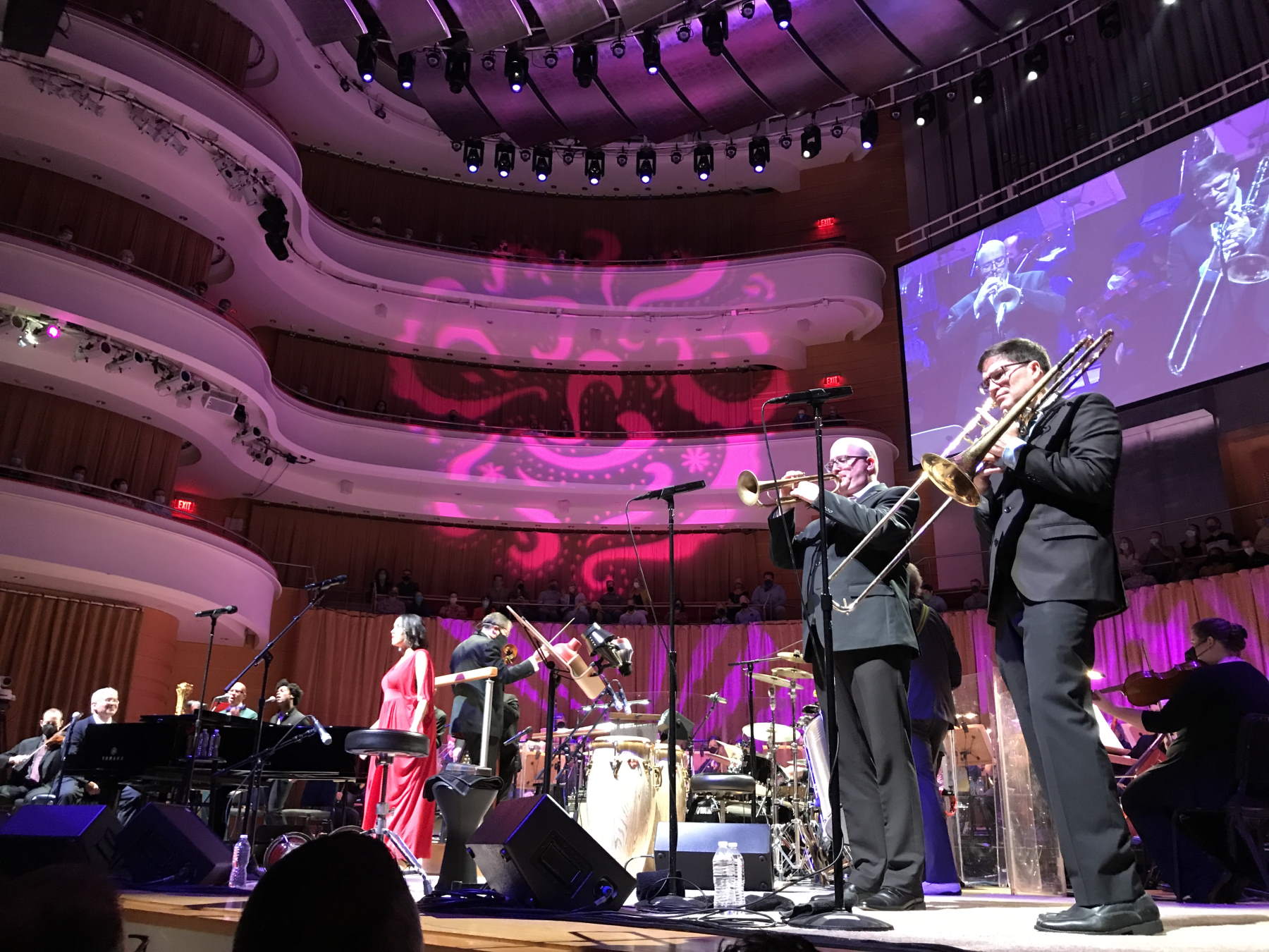 Pink Martini with the Pacific Symphony at the Sergestrom