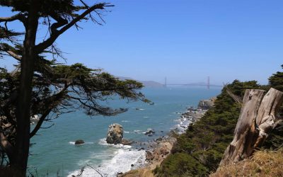 22 Bay Area Attractions That Will Make You Fall in Love With San Francisco