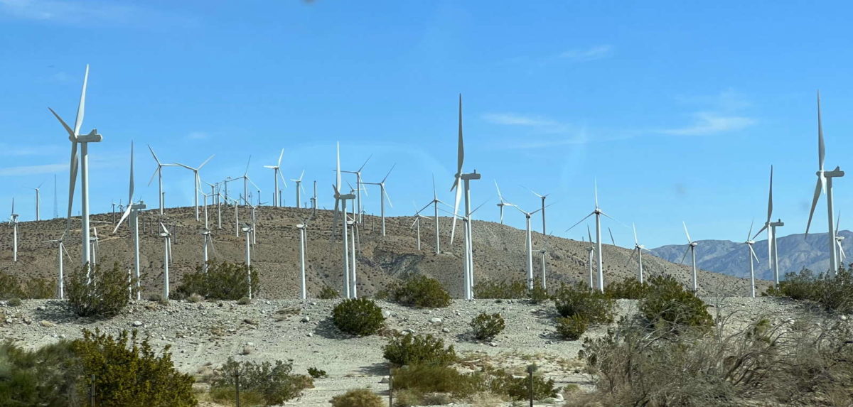 Wind turbines on the way to Palm Springs